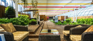 Beautifully designed patio with elegant seating and lush greenery